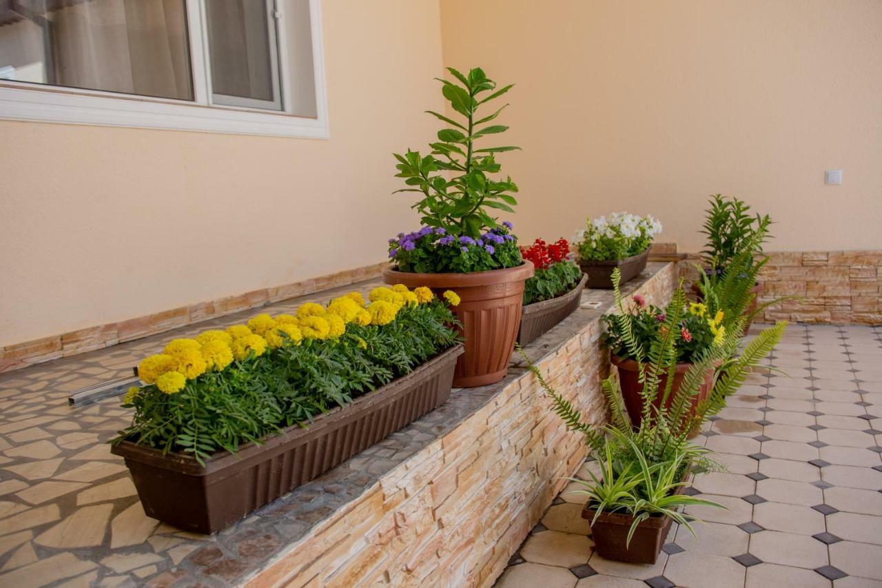 Hostel Bukhara Gold Tashkent Esterno foto